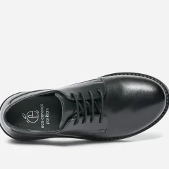 Eram Baskets^Derby éco-conçu en cuir NOIR