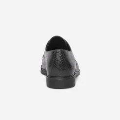 Eram Derbies^Derby embossé python NOIR