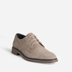 Redskins Chaussures De Ville^Derby cuir velours TAUPE