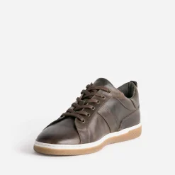 Eram Baskets/Tennis^Tennis en cuir MARRON
