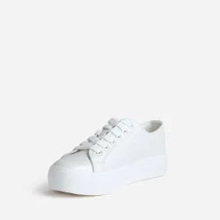 Texto Baskets^Tennis irisé embossée effet python BLANC