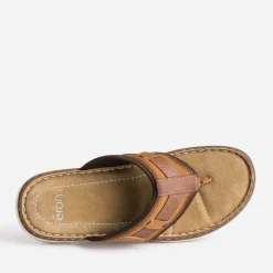 Eram Nu-Pieds/Sandales^Tong camel en cuir COGNAC